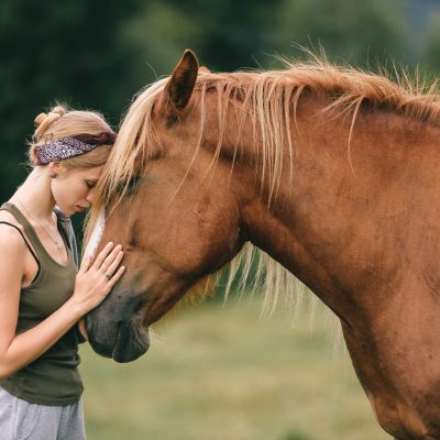 Young beautiful girl hugging horse at nature. Horse lover. Young beautiful girl hugging horse at nature.